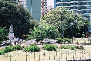 Flowers in Buenos Aires